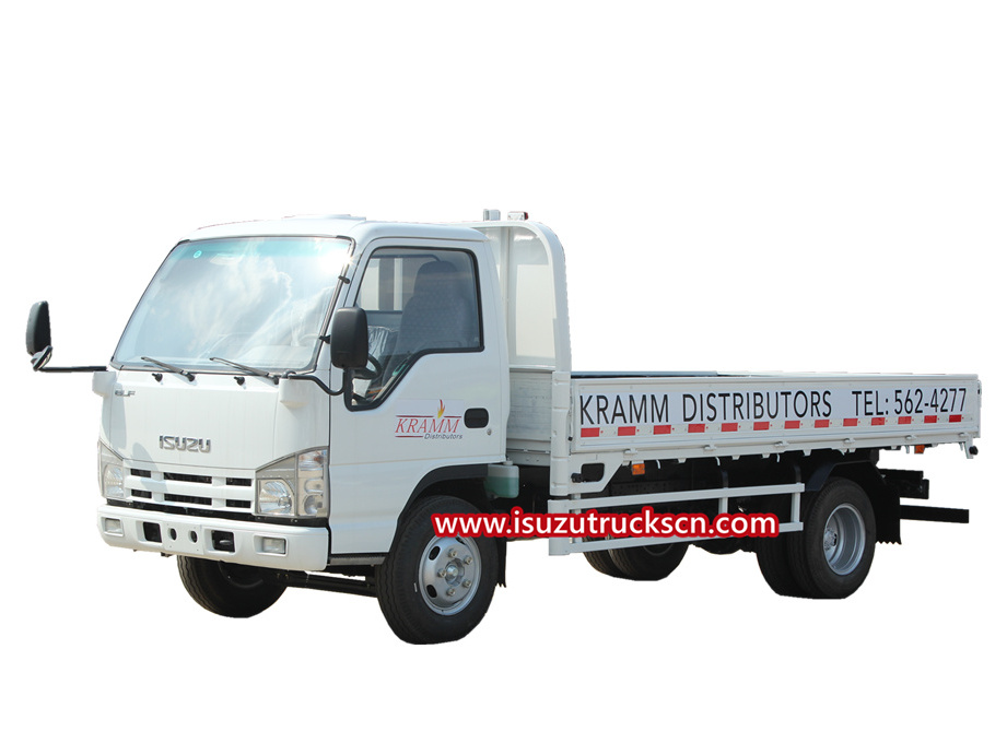 New Isuzu ELF 100P Lorry Dropside Cargo Truck