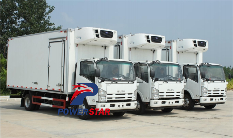 ISUZU ELF 700P Freezer Truck