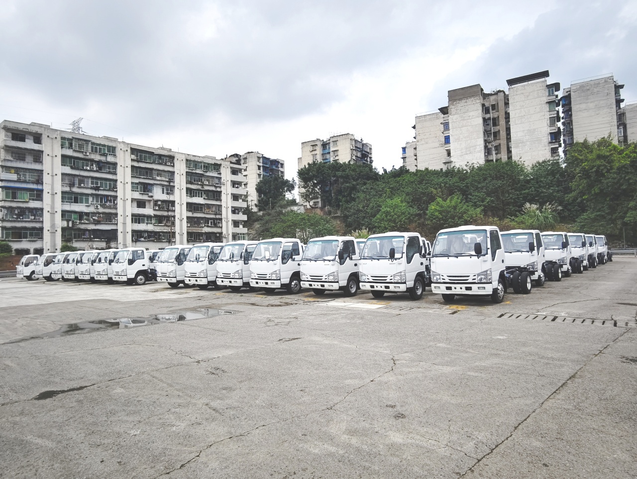 100units Isuzu ELF 100p 6wheeler cabin chassis truck for export